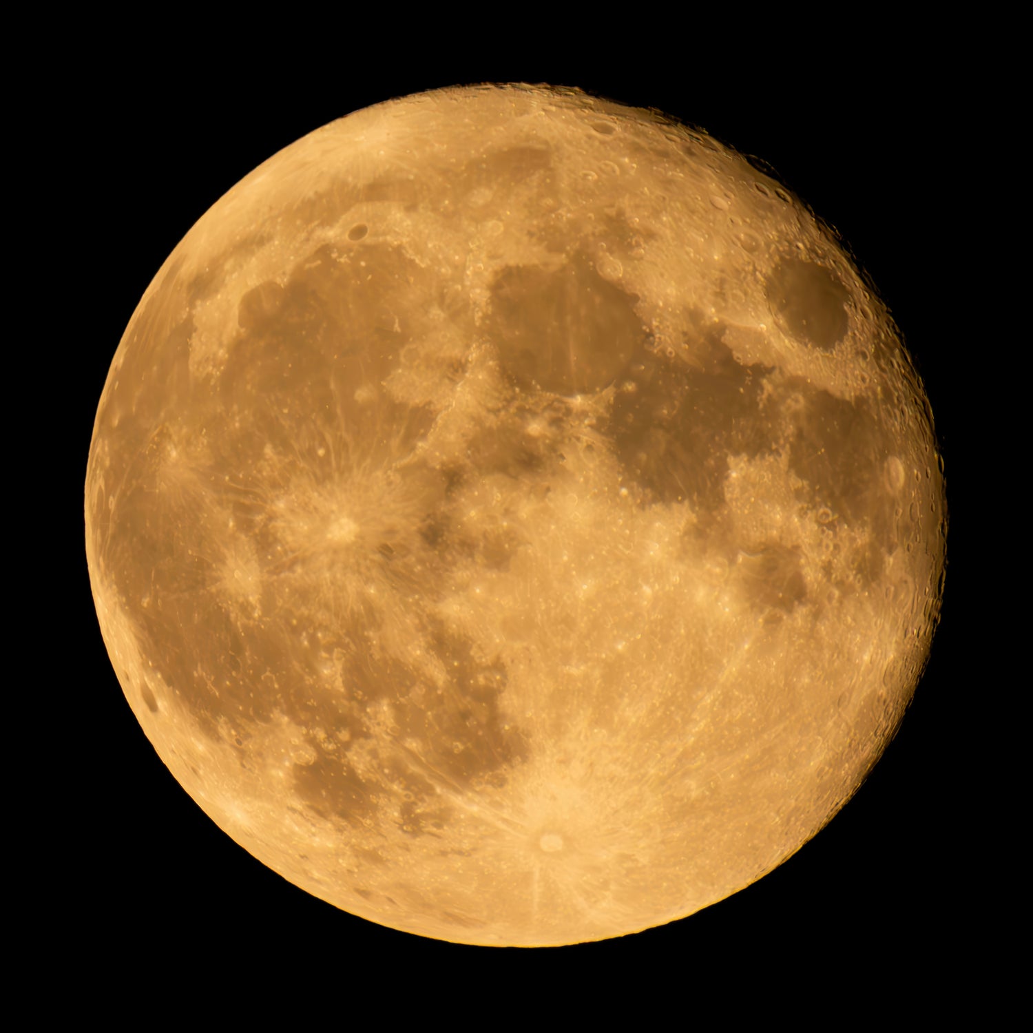 AN OCTOBER MOON