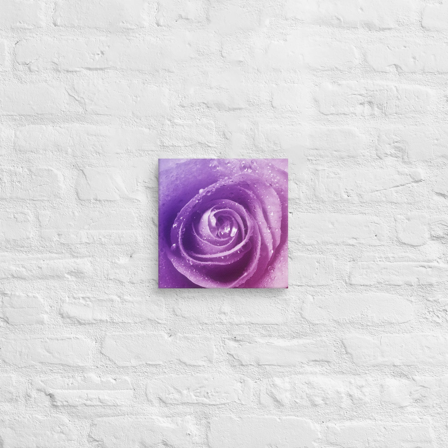 Canvas - A Pinkish Rose, Flowers, Floral, Roses, Nature, Pinkish, Pink, Purple, Magenta, Colorful Wall Art, Bedroom Art, Living Room Art, Flower Art, Nature Art, Stylized Art, Colorful Art