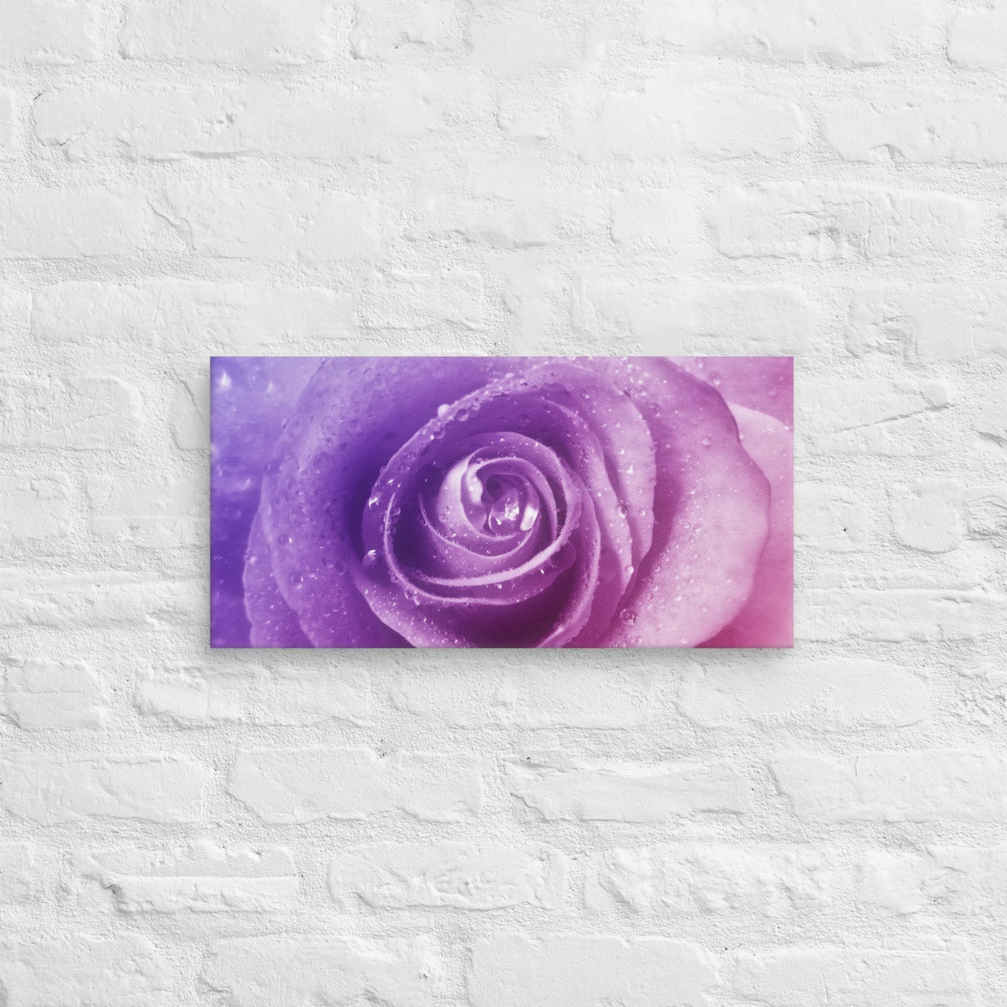 Canvas - A Pinkish Rose, Flowers, Floral, Roses, Nature, Pinkish, Pink, Purple, Magenta, Colorful Wall Art, Bedroom Art, Living Room Art, Flower Art, Nature Art, Stylized Art, Colorful Art