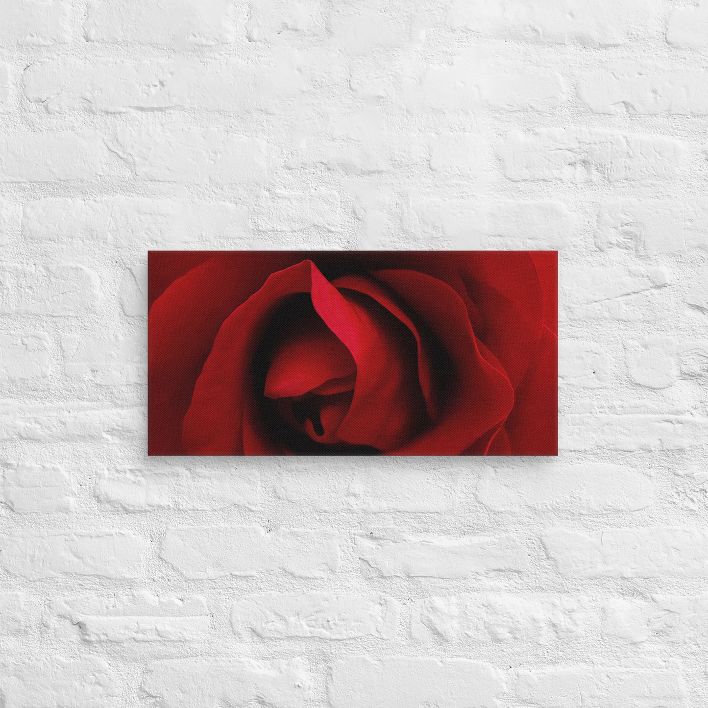 Canvas - A Red Rose, Flowers, Floral, Roses, Nature, Colorful Wall Art, Flower Art, Nature Art, Stylized Art, Colorful Art