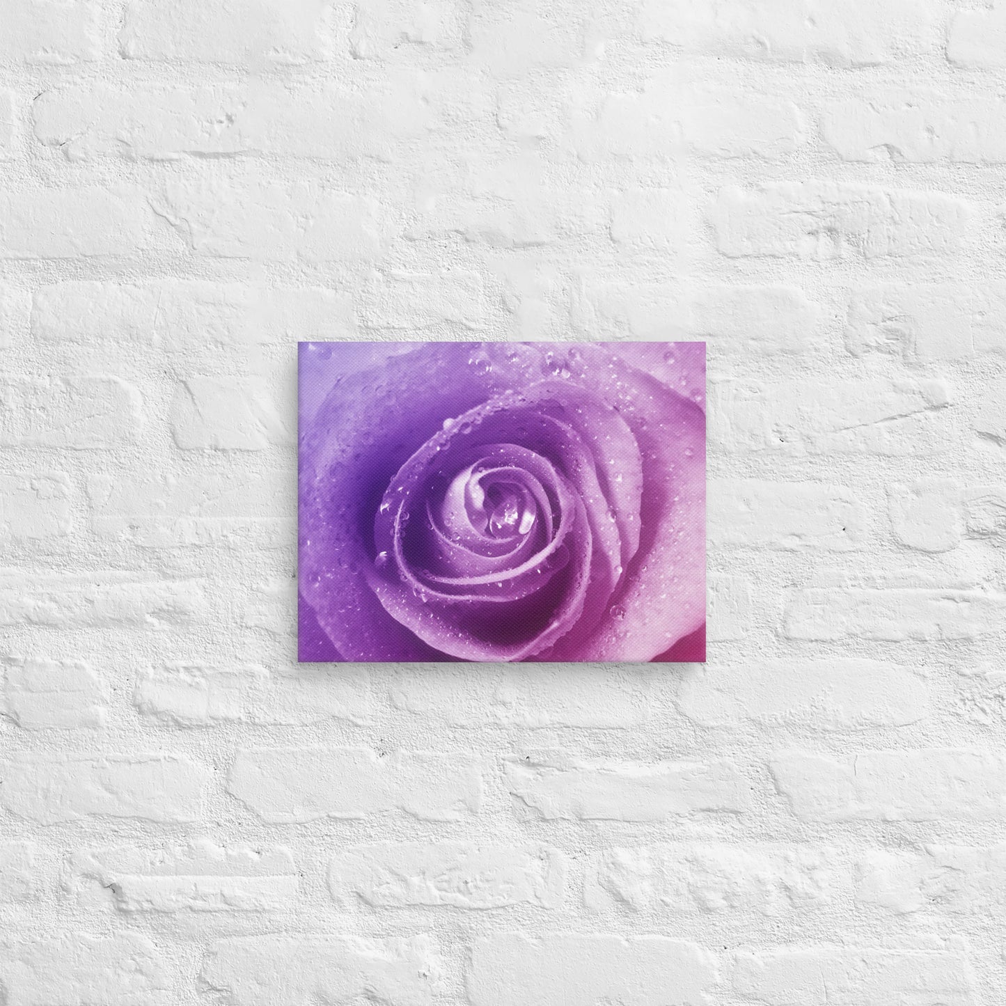 Canvas - A Pinkish Rose, Flowers, Floral, Roses, Nature, Pinkish, Pink, Purple, Magenta, Colorful Wall Art, Bedroom Art, Living Room Art, Flower Art, Nature Art, Stylized Art, Colorful Art