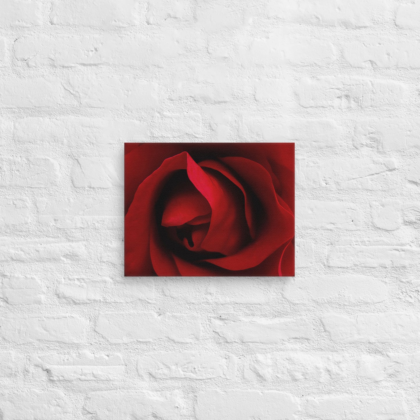 Canvas - A Red Rose, Flowers, Floral, Roses, Nature, Colorful Wall Art, Flower Art, Nature Art, Stylized Art, Colorful Art