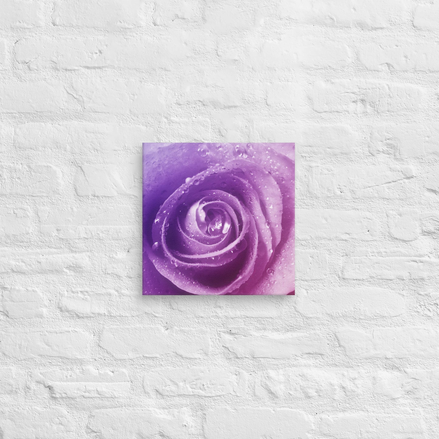 Canvas - A Pinkish Rose, Flowers, Floral, Roses, Nature, Pinkish, Pink, Purple, Magenta, Colorful Wall Art, Bedroom Art, Living Room Art, Flower Art, Nature Art, Stylized Art, Colorful Art