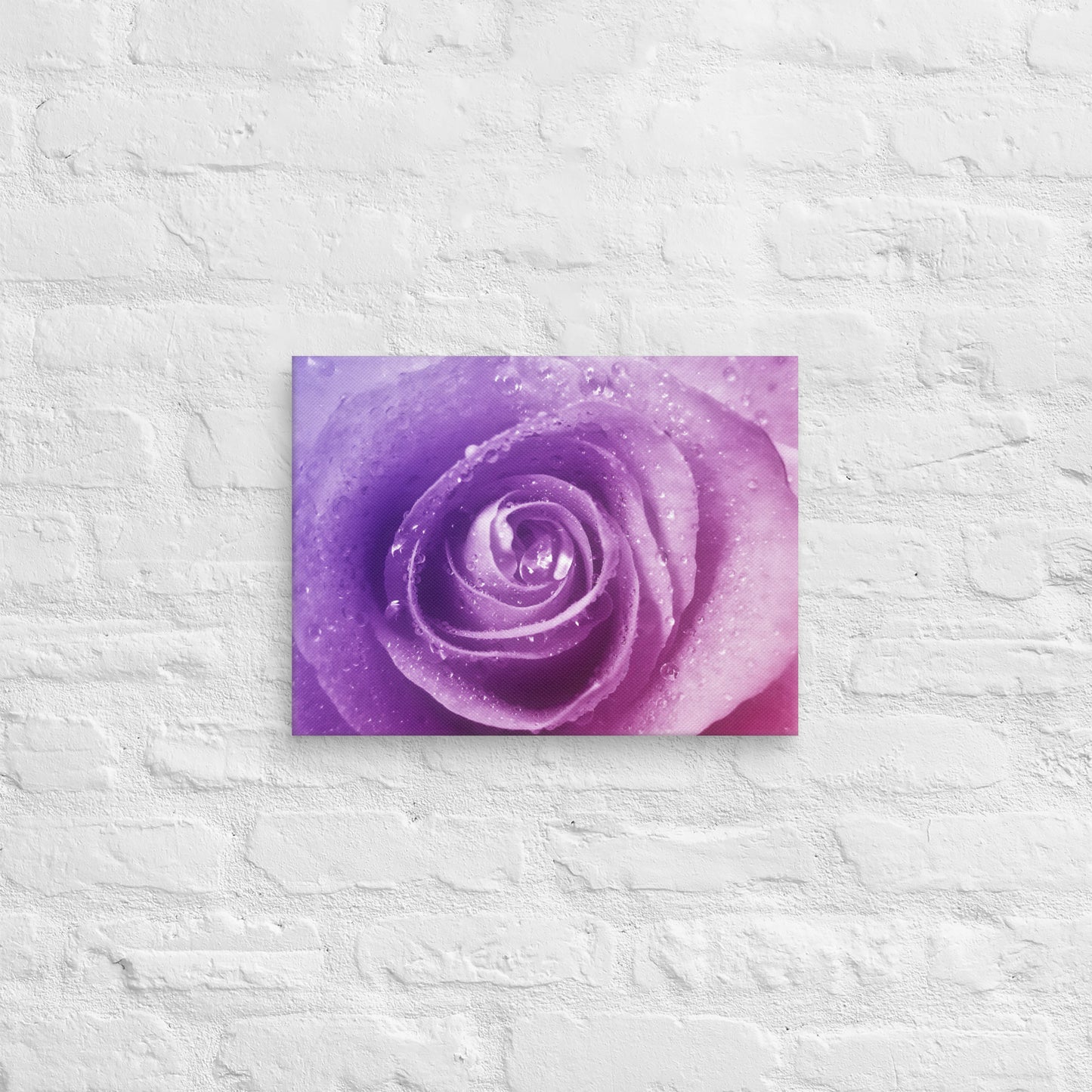 Canvas - A Pinkish Rose, Flowers, Floral, Roses, Nature, Pinkish, Pink, Purple, Magenta, Colorful Wall Art, Bedroom Art, Living Room Art, Flower Art, Nature Art, Stylized Art, Colorful Art