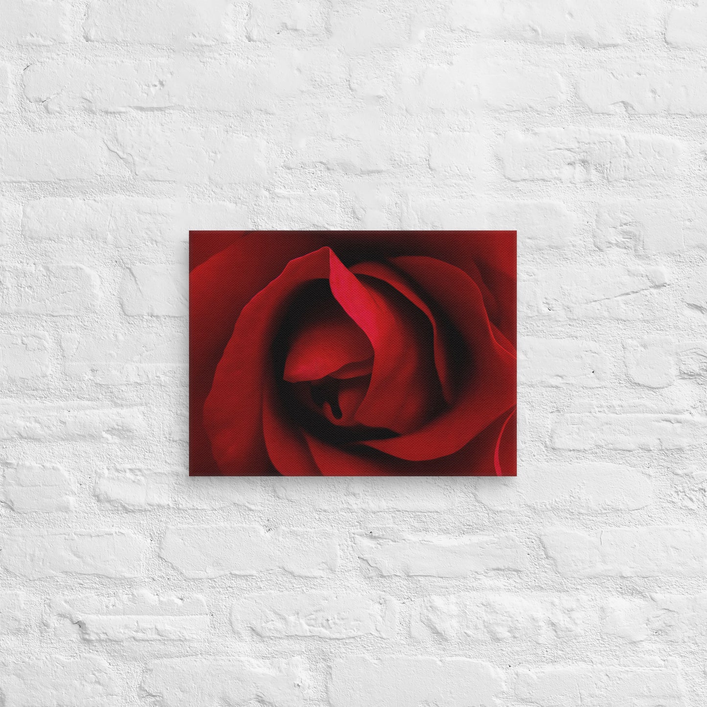 Canvas - A Red Rose, Flowers, Floral, Roses, Nature, Colorful Wall Art, Flower Art, Nature Art, Stylized Art, Colorful Art