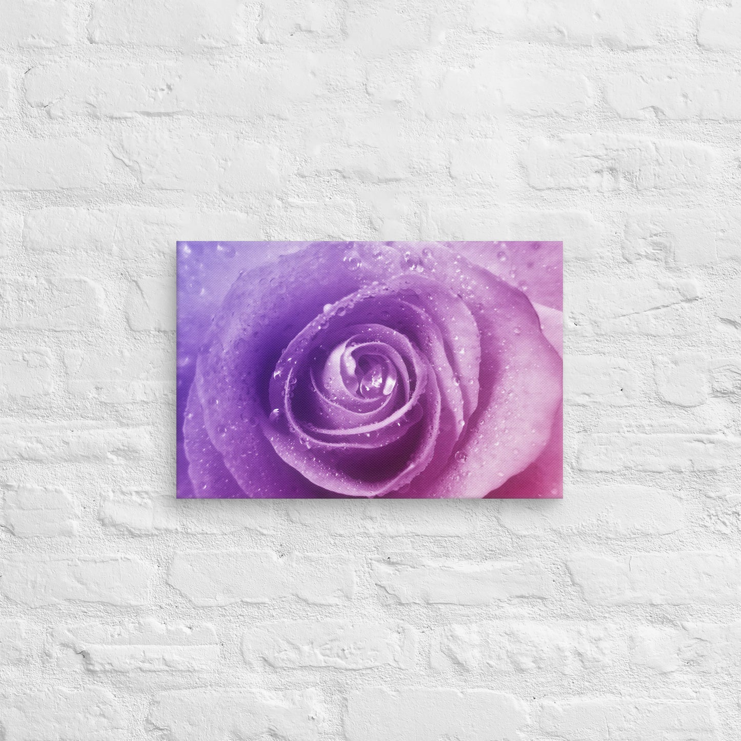 Canvas - A Pinkish Rose, Flowers, Floral, Roses, Nature, Pinkish, Pink, Purple, Magenta, Colorful Wall Art, Bedroom Art, Living Room Art, Flower Art, Nature Art, Stylized Art, Colorful Art