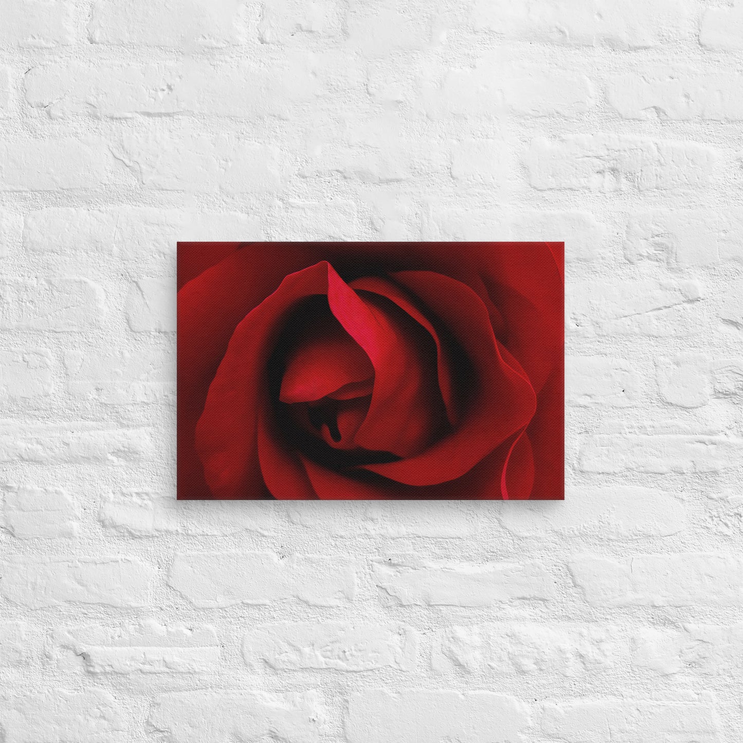 Canvas - A Red Rose, Flowers, Floral, Roses, Nature, Colorful Wall Art, Flower Art, Nature Art, Stylized Art, Colorful Art