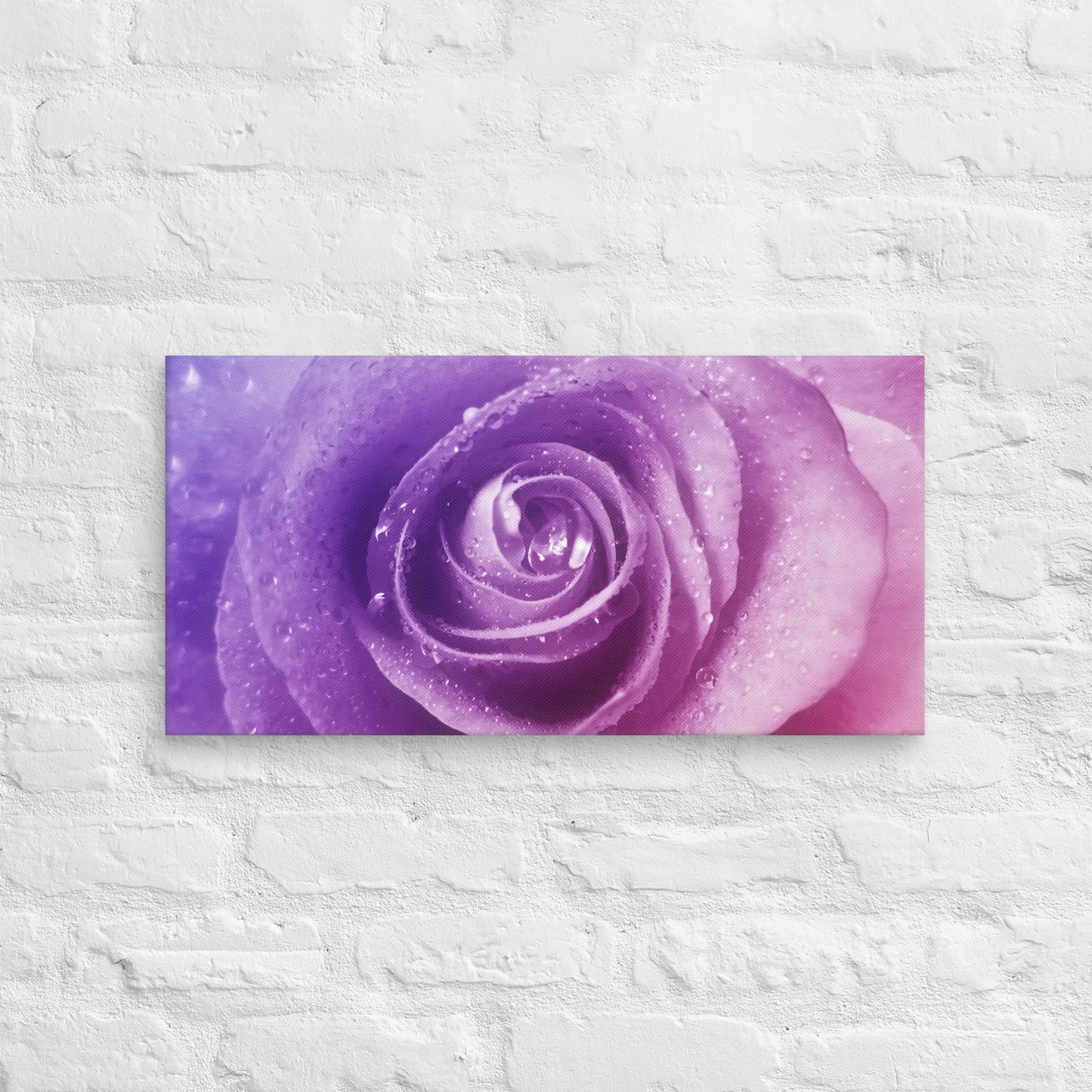 Canvas - A Pinkish Rose, Flowers, Floral, Roses, Nature, Pinkish, Pink, Purple, Magenta, Colorful Wall Art, Bedroom Art, Living Room Art, Flower Art, Nature Art, Stylized Art, Colorful Art