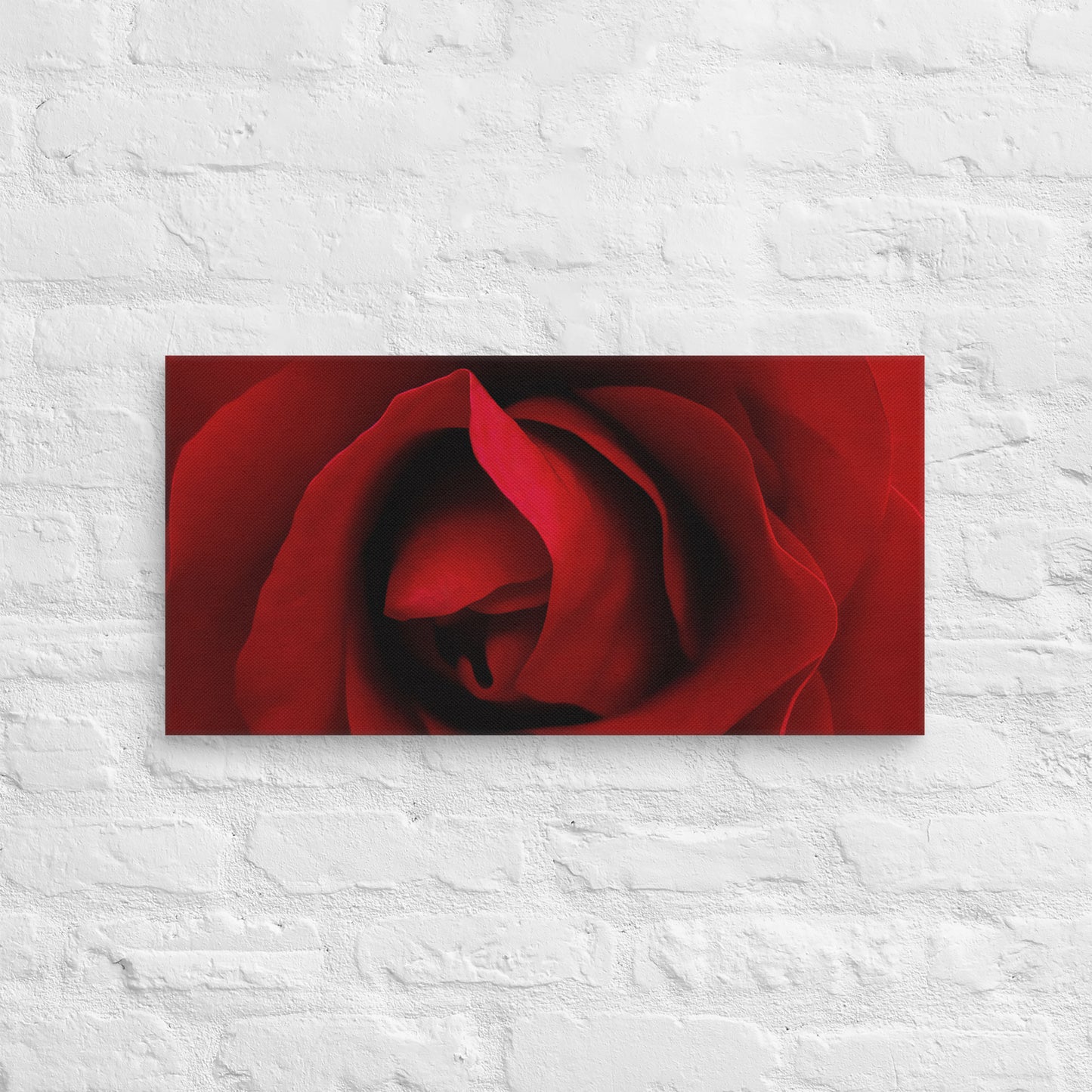 Canvas - A Red Rose, Flowers, Floral, Roses, Nature, Colorful Wall Art, Flower Art, Nature Art, Stylized Art, Colorful Art