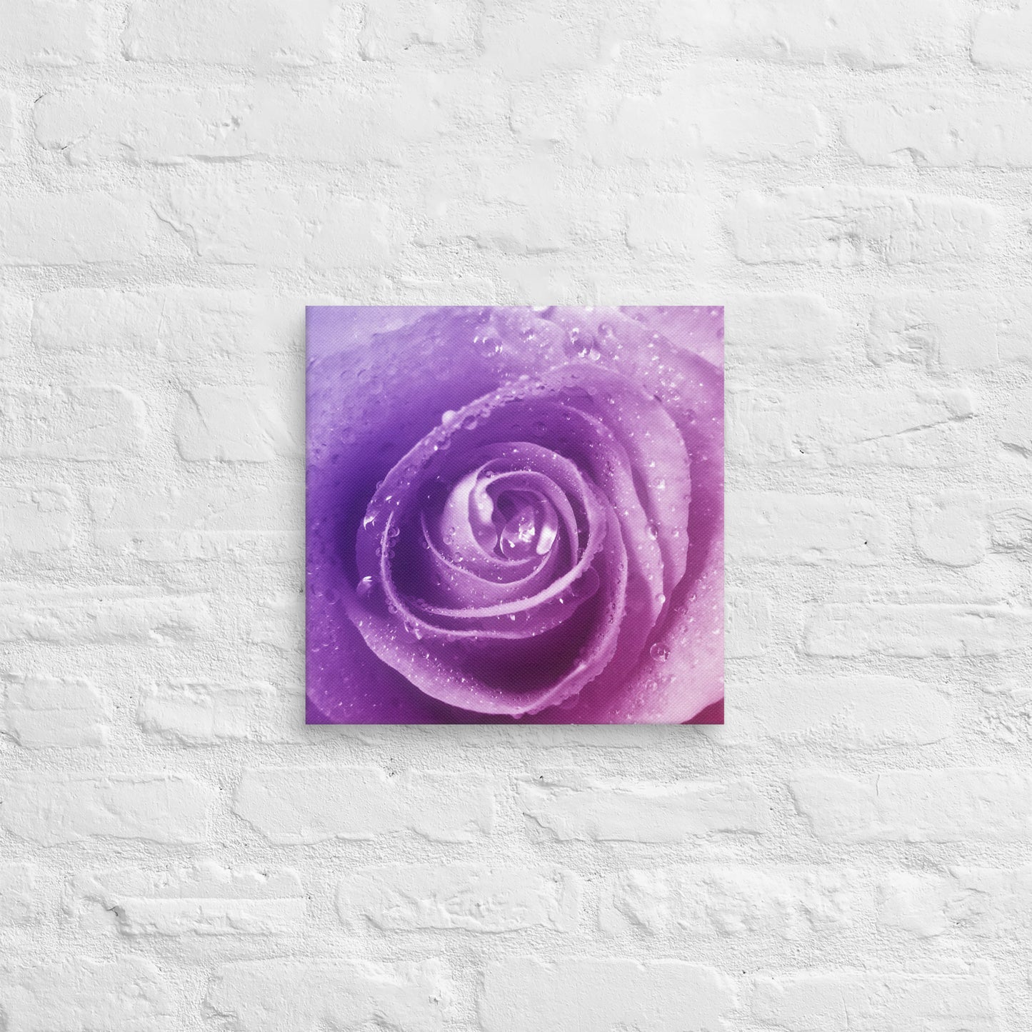 Canvas - A Pinkish Rose, Flowers, Floral, Roses, Nature, Pinkish, Pink, Purple, Magenta, Colorful Wall Art, Bedroom Art, Living Room Art, Flower Art, Nature Art, Stylized Art, Colorful Art