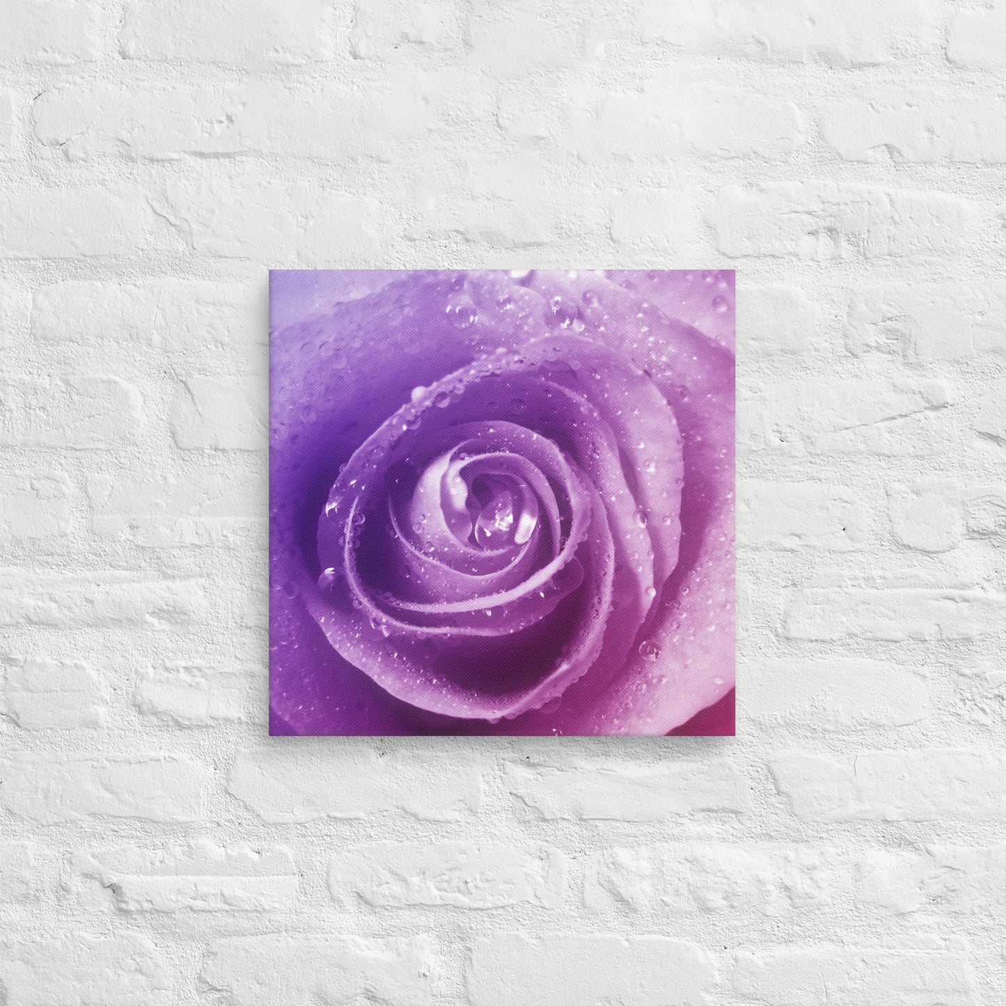 Canvas - A Pinkish Rose, Flowers, Floral, Roses, Nature, Pinkish, Pink, Purple, Magenta, Colorful Wall Art, Bedroom Art, Living Room Art, Flower Art, Nature Art, Stylized Art, Colorful Art