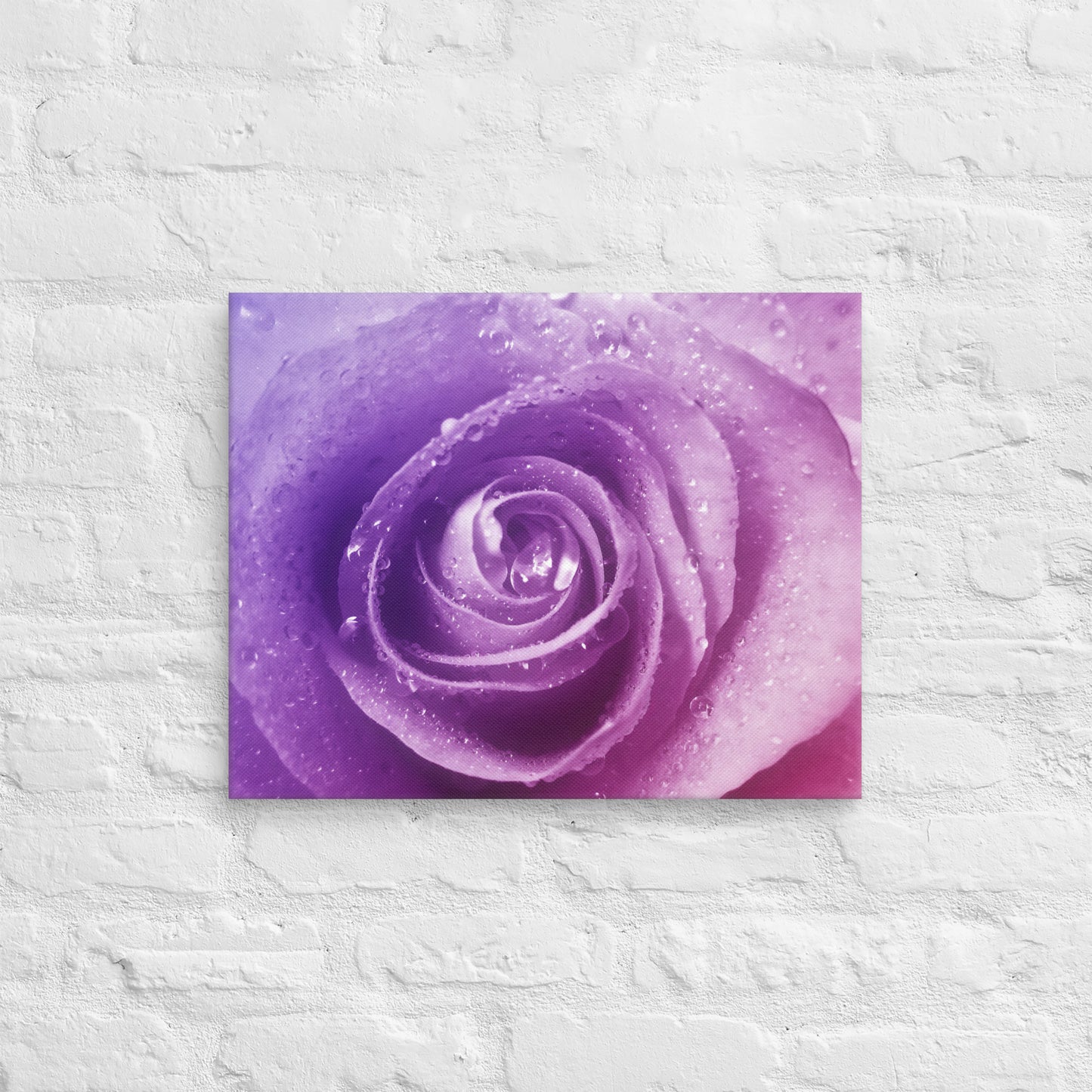 Canvas - A Pinkish Rose, Flowers, Floral, Roses, Nature, Pinkish, Pink, Purple, Magenta, Colorful Wall Art, Bedroom Art, Living Room Art, Flower Art, Nature Art, Stylized Art, Colorful Art