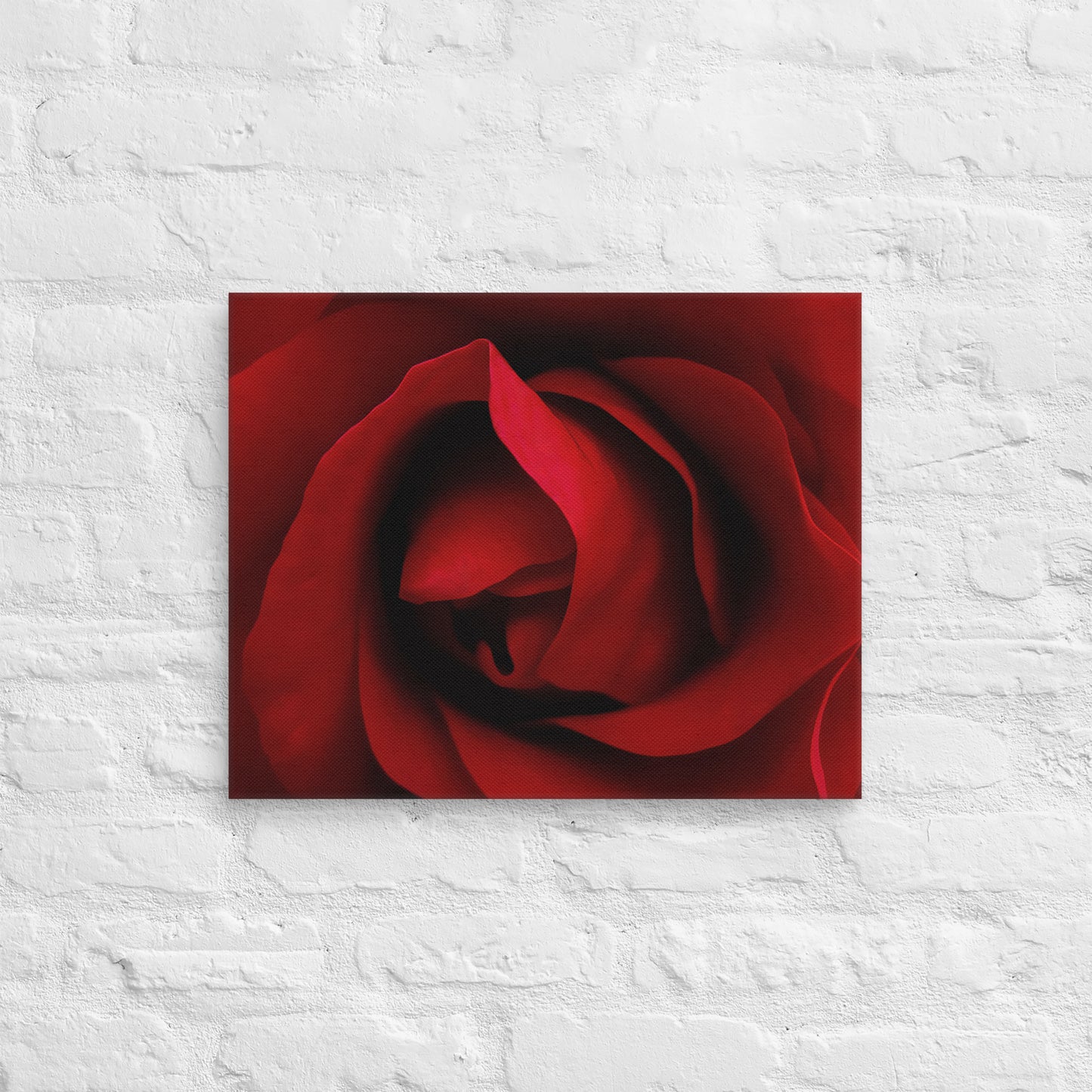 Canvas - A Red Rose, Flowers, Floral, Roses, Nature, Colorful Wall Art, Flower Art, Nature Art, Stylized Art, Colorful Art