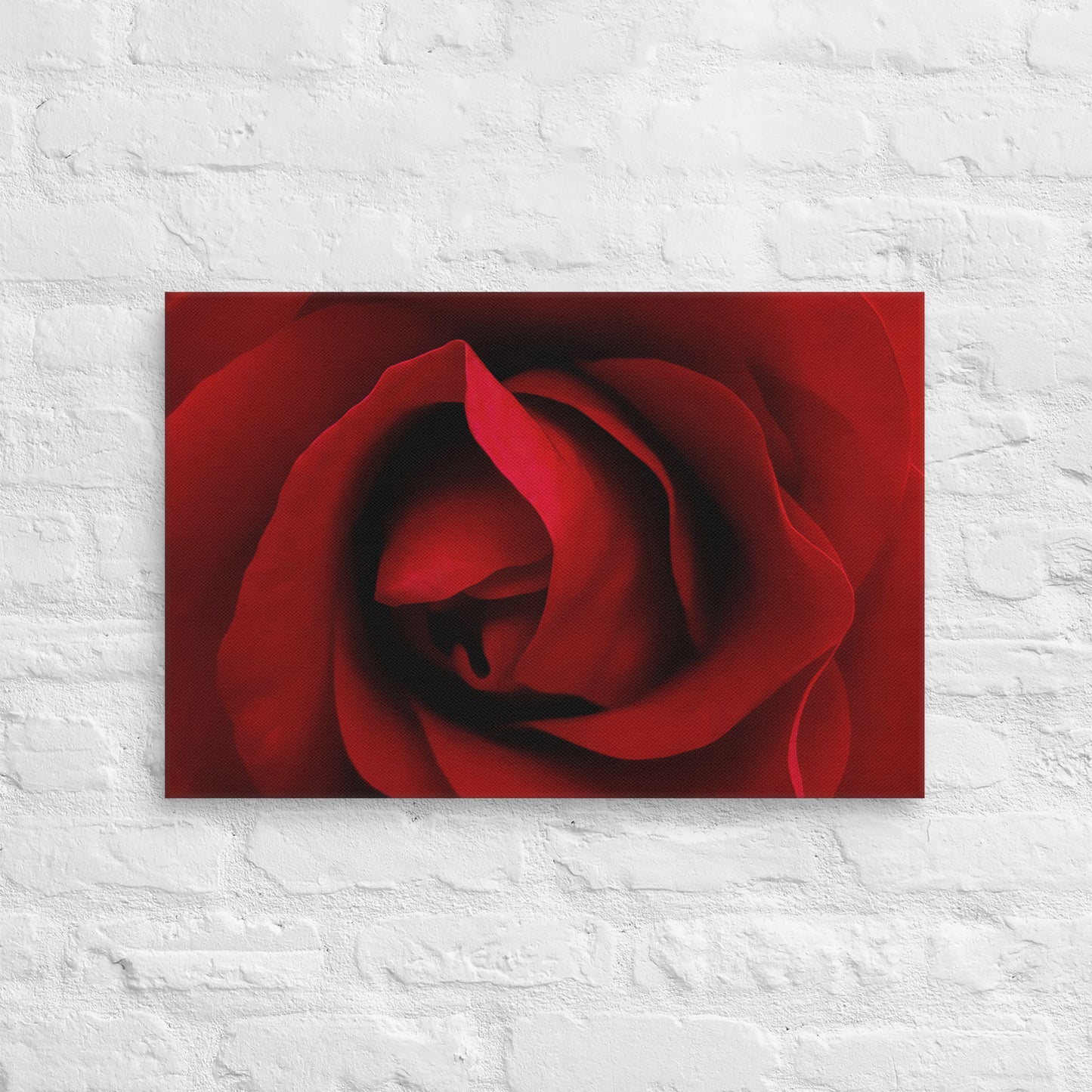 Canvas - A Red Rose, Flowers, Floral, Roses, Nature, Colorful Wall Art, Flower Art, Nature Art, Stylized Art, Colorful Art