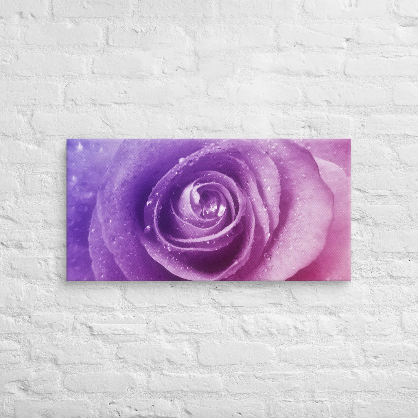 Canvas - A Pinkish Rose, Flowers, Floral, Roses, Nature, Pinkish, Pink, Purple, Magenta, Colorful Wall Art, Bedroom Art, Living Room Art, Flower Art, Nature Art, Stylized Art, Colorful Art