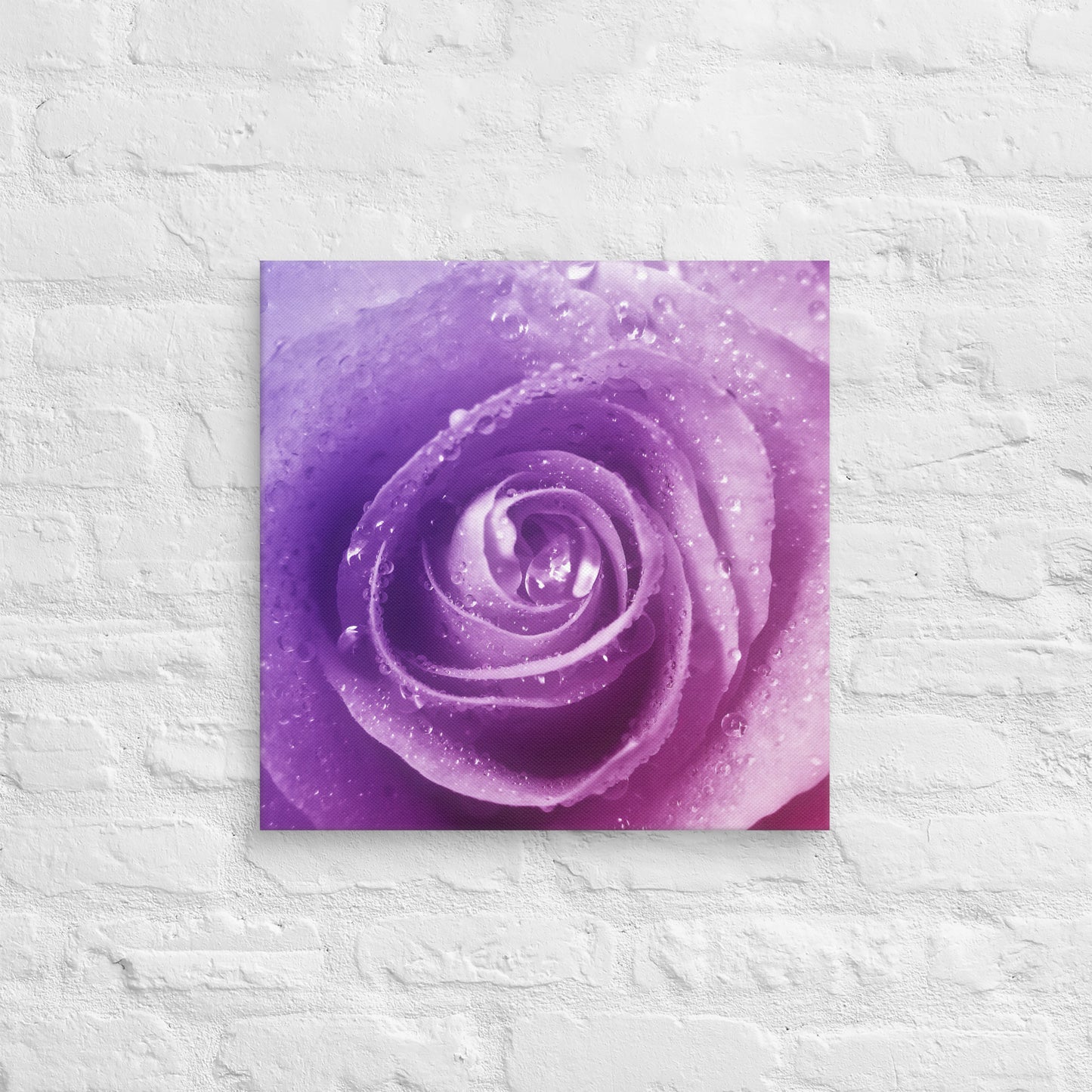 Canvas - A Pinkish Rose, Flowers, Floral, Roses, Nature, Pinkish, Pink, Purple, Magenta, Colorful Wall Art, Bedroom Art, Living Room Art, Flower Art, Nature Art, Stylized Art, Colorful Art