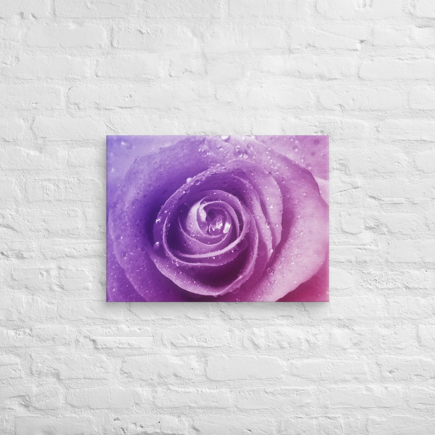 Canvas - A Pinkish Rose, Flowers, Floral, Roses, Nature, Pinkish, Pink, Purple, Magenta, Colorful Wall Art, Bedroom Art, Living Room Art, Flower Art, Nature Art, Stylized Art, Colorful Art