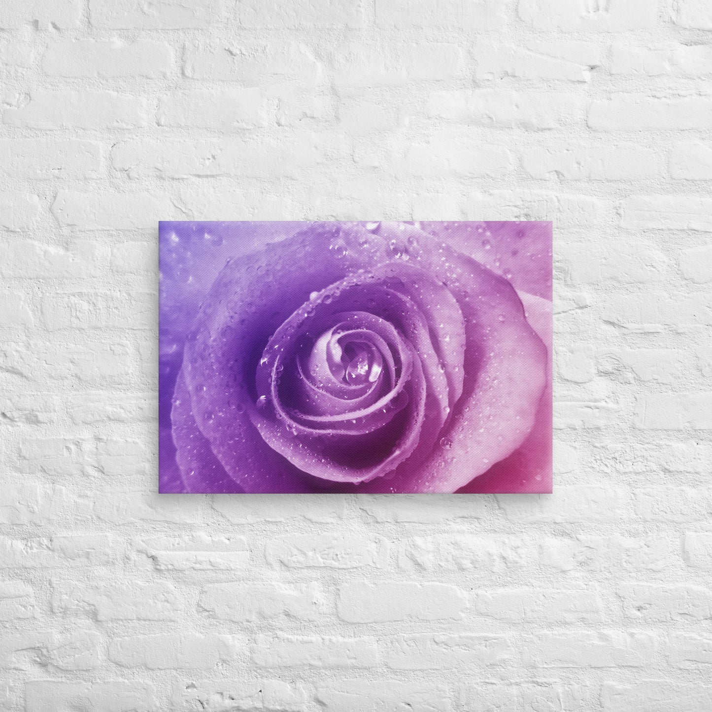 Canvas - A Pinkish Rose, Flowers, Floral, Roses, Nature, Pinkish, Pink, Purple, Magenta, Colorful Wall Art, Bedroom Art, Living Room Art, Flower Art, Nature Art, Stylized Art, Colorful Art