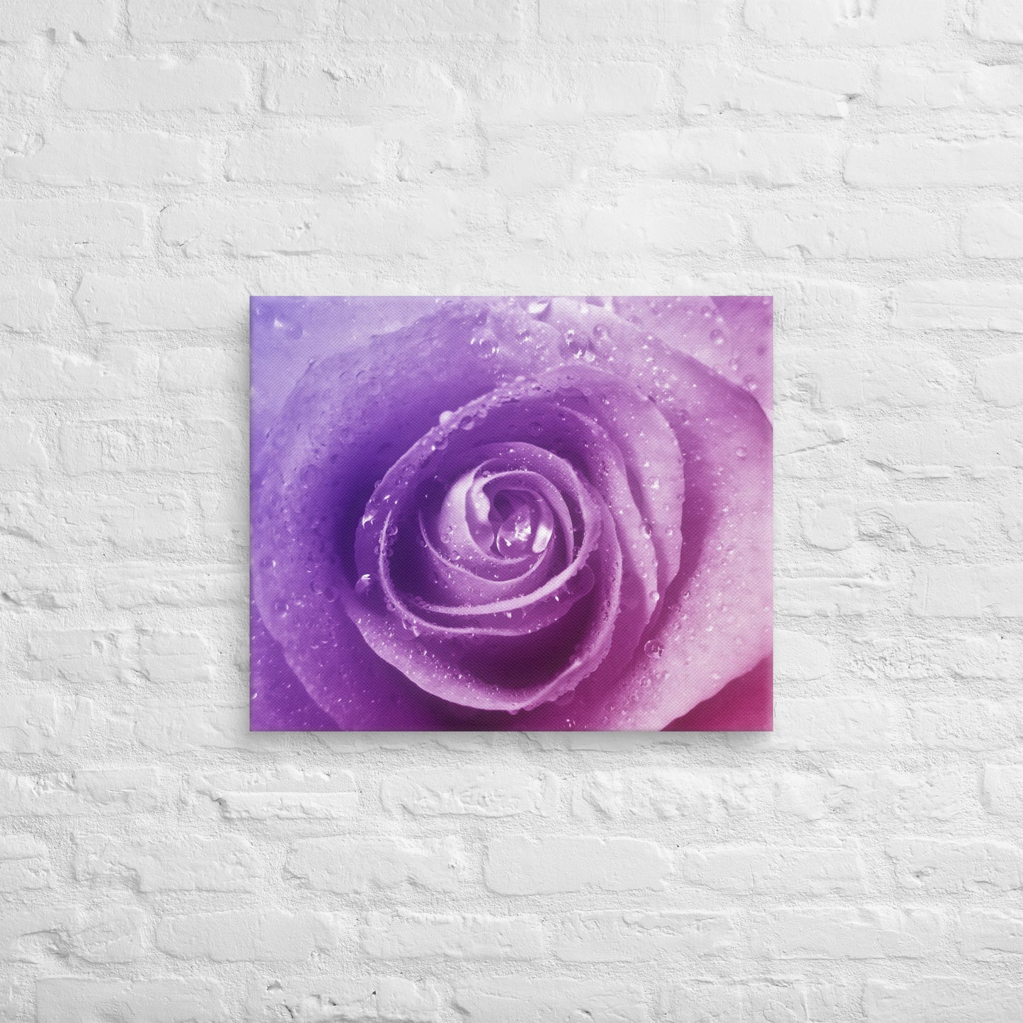 Canvas - A Pinkish Rose, Flowers, Floral, Roses, Nature, Pinkish, Pink, Purple, Magenta, Colorful Wall Art, Bedroom Art, Living Room Art, Flower Art, Nature Art, Stylized Art, Colorful Art