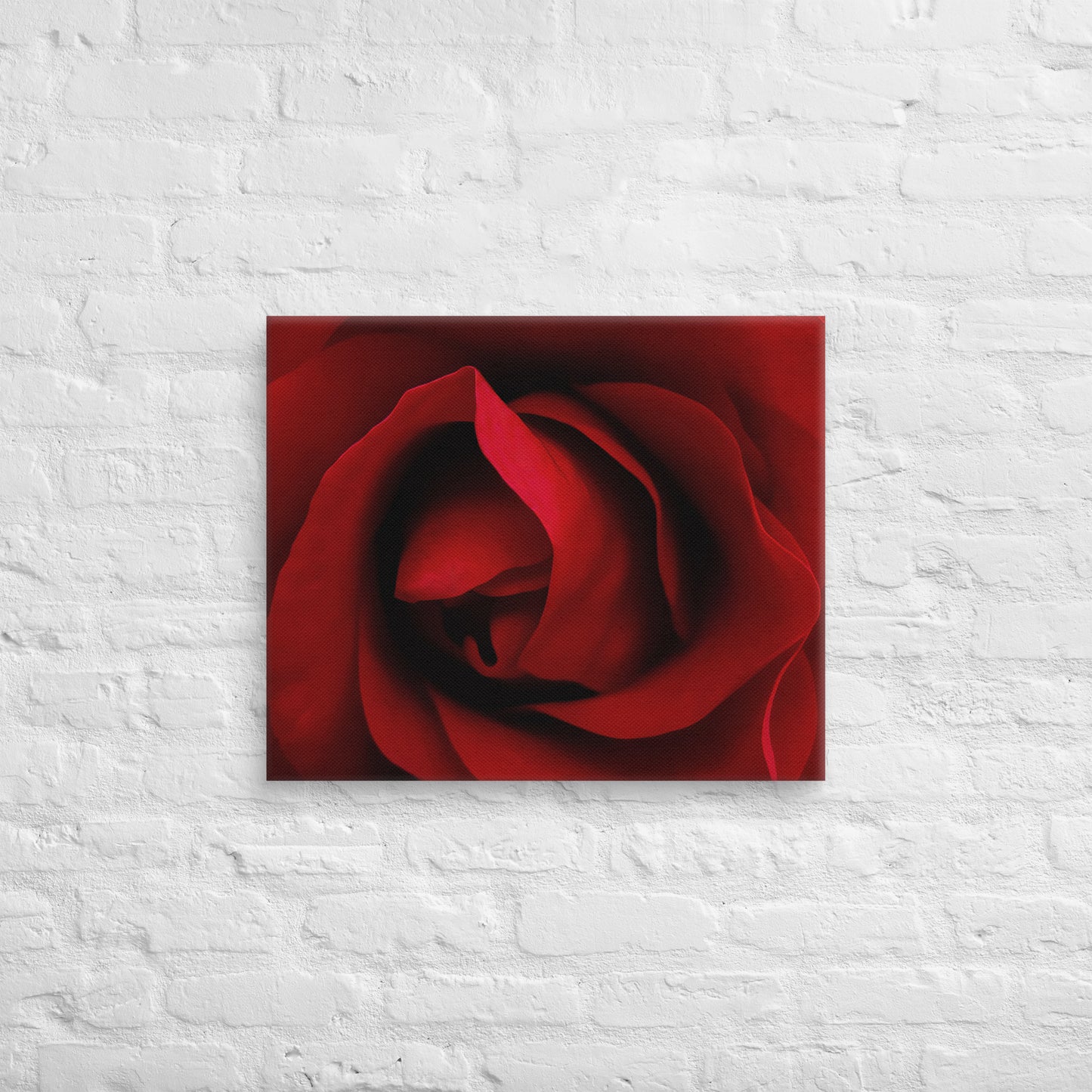 Canvas - A Red Rose, Flowers, Floral, Roses, Nature, Colorful Wall Art, Flower Art, Nature Art, Stylized Art, Colorful Art