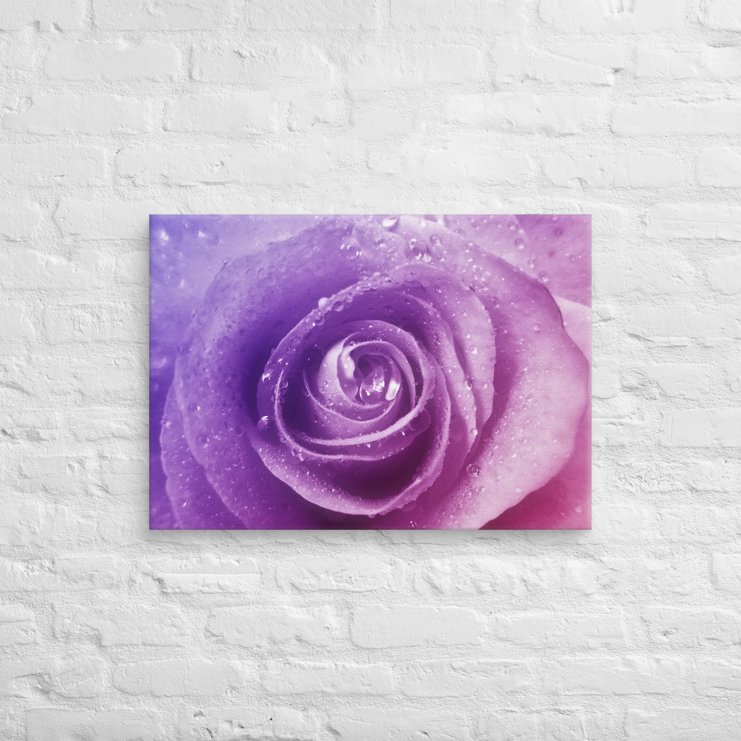 Canvas - A Pinkish Rose, Flowers, Floral, Roses, Nature, Pinkish, Pink, Purple, Magenta, Colorful Wall Art, Bedroom Art, Living Room Art, Flower Art, Nature Art, Stylized Art, Colorful Art