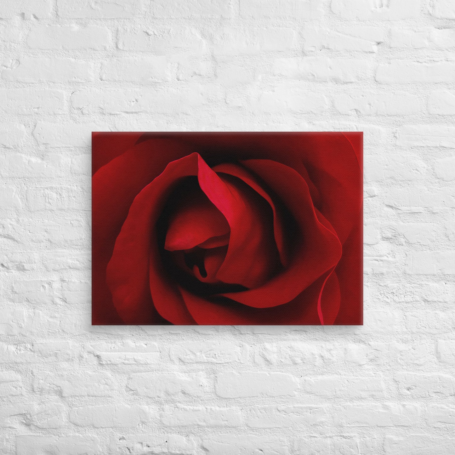 Canvas - A Red Rose, Flowers, Floral, Roses, Nature, Colorful Wall Art, Flower Art, Nature Art, Stylized Art, Colorful Art