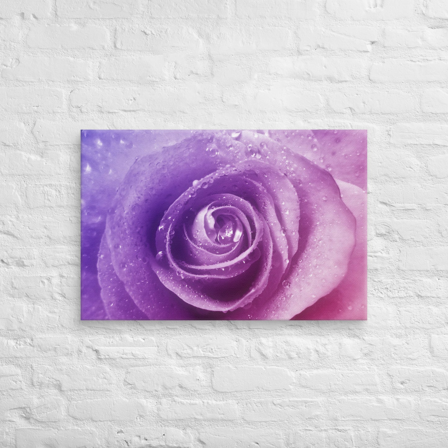 Canvas - A Pinkish Rose, Flowers, Floral, Roses, Nature, Pinkish, Pink, Purple, Magenta, Colorful Wall Art, Bedroom Art, Living Room Art, Flower Art, Nature Art, Stylized Art, Colorful Art