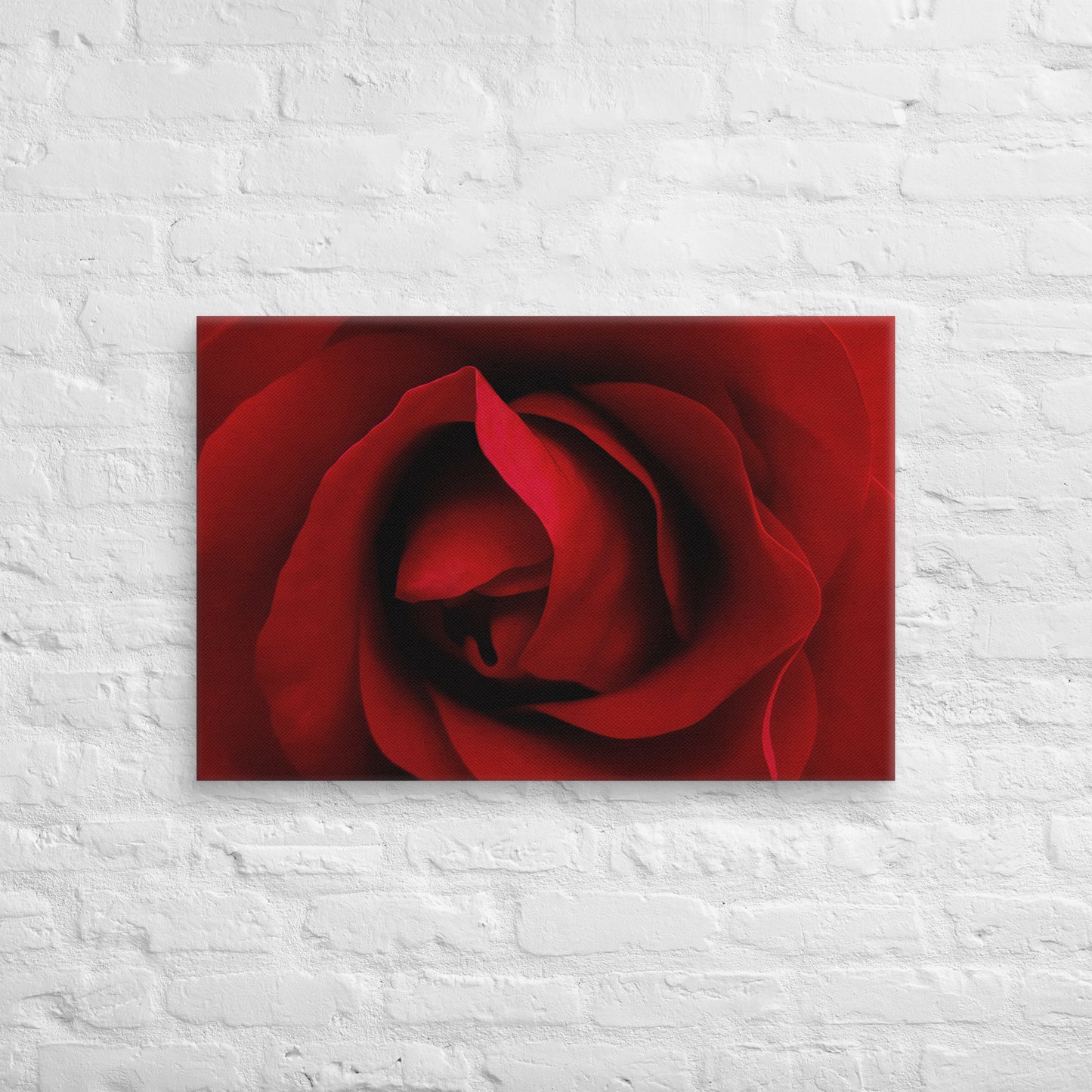 Canvas - A Red Rose, Flowers, Floral, Roses, Nature, Colorful Wall Art, Flower Art, Nature Art, Stylized Art, Colorful Art