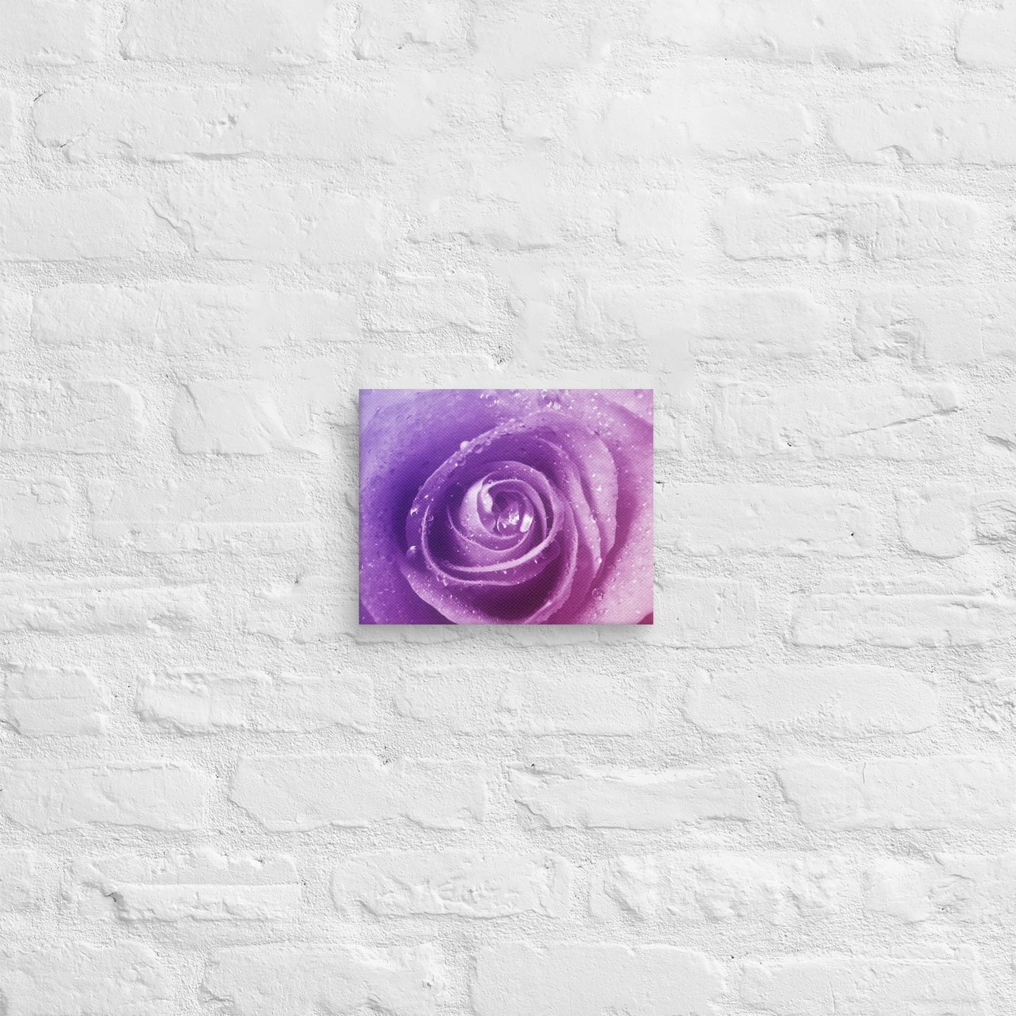 Canvas - A Pinkish Rose, Flowers, Floral, Roses, Nature, Pinkish, Pink, Purple, Magenta, Colorful Wall Art, Bedroom Art, Living Room Art, Flower Art, Nature Art, Stylized Art, Colorful Art