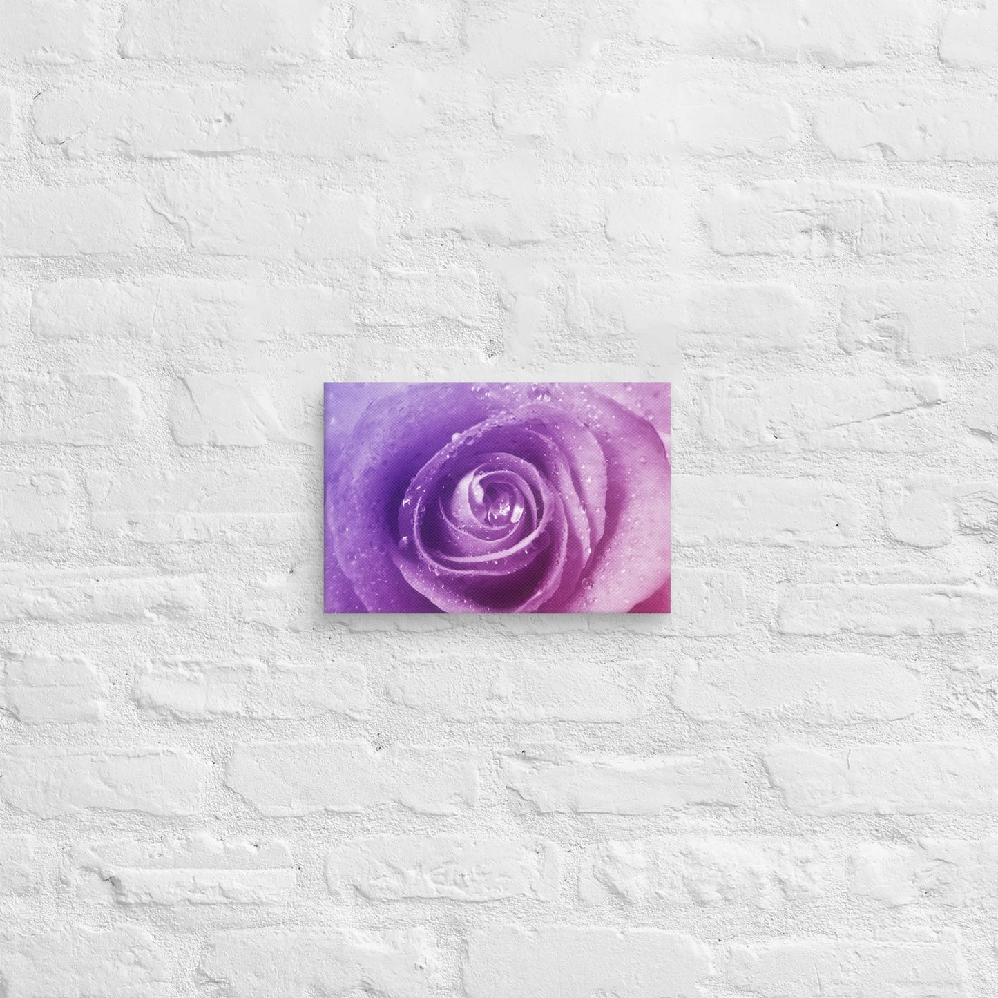 Canvas - A Pinkish Rose, Flowers, Floral, Roses, Nature, Pinkish, Pink, Purple, Magenta, Colorful Wall Art, Bedroom Art, Living Room Art, Flower Art, Nature Art, Stylized Art, Colorful Art