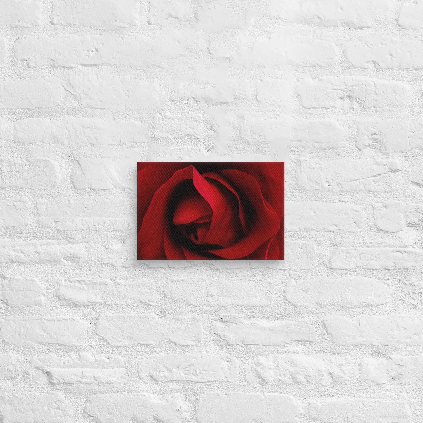 Canvas - A Red Rose, Flowers, Floral, Roses, Nature, Colorful Wall Art, Flower Art, Nature Art, Stylized Art, Colorful Art