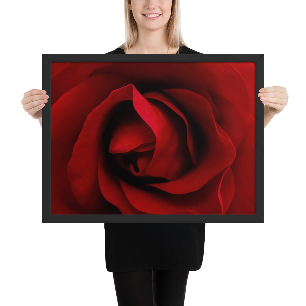 Framed Poster - A Red Rose, Flowers, Floral, Roses, Nature, Colorful Wall Art, Flower Art, Nature Art, Stylized Art, Colorful Art