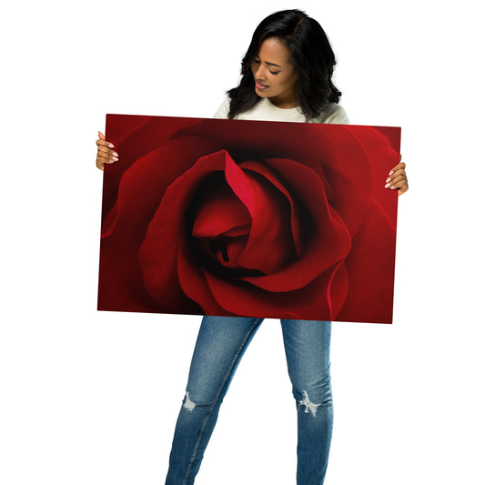 Metal Prints - A Red Rose, Flowers, Floral, Roses, Nature, Colorful Wall Art, Flower Art, Nature Art, Stylized Art, Colorful Art