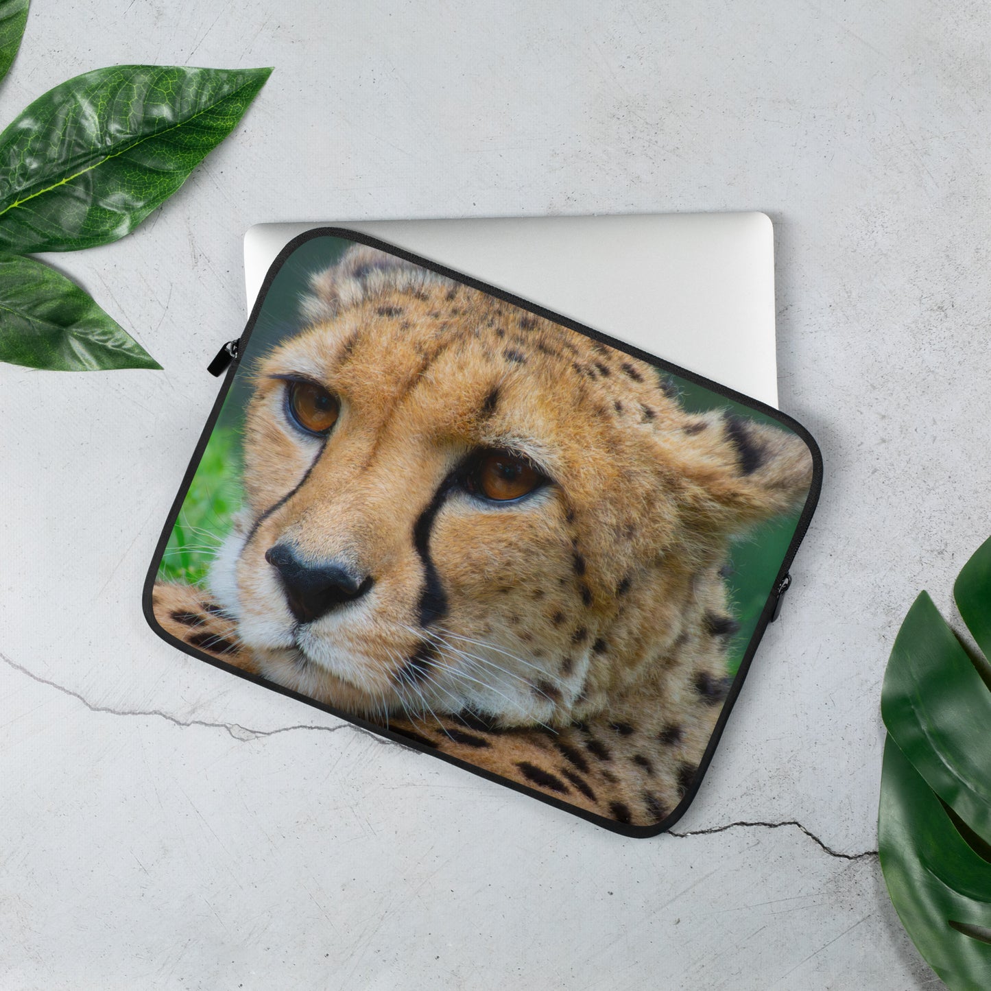 cheetah, nature, cats, animals, feline, africa