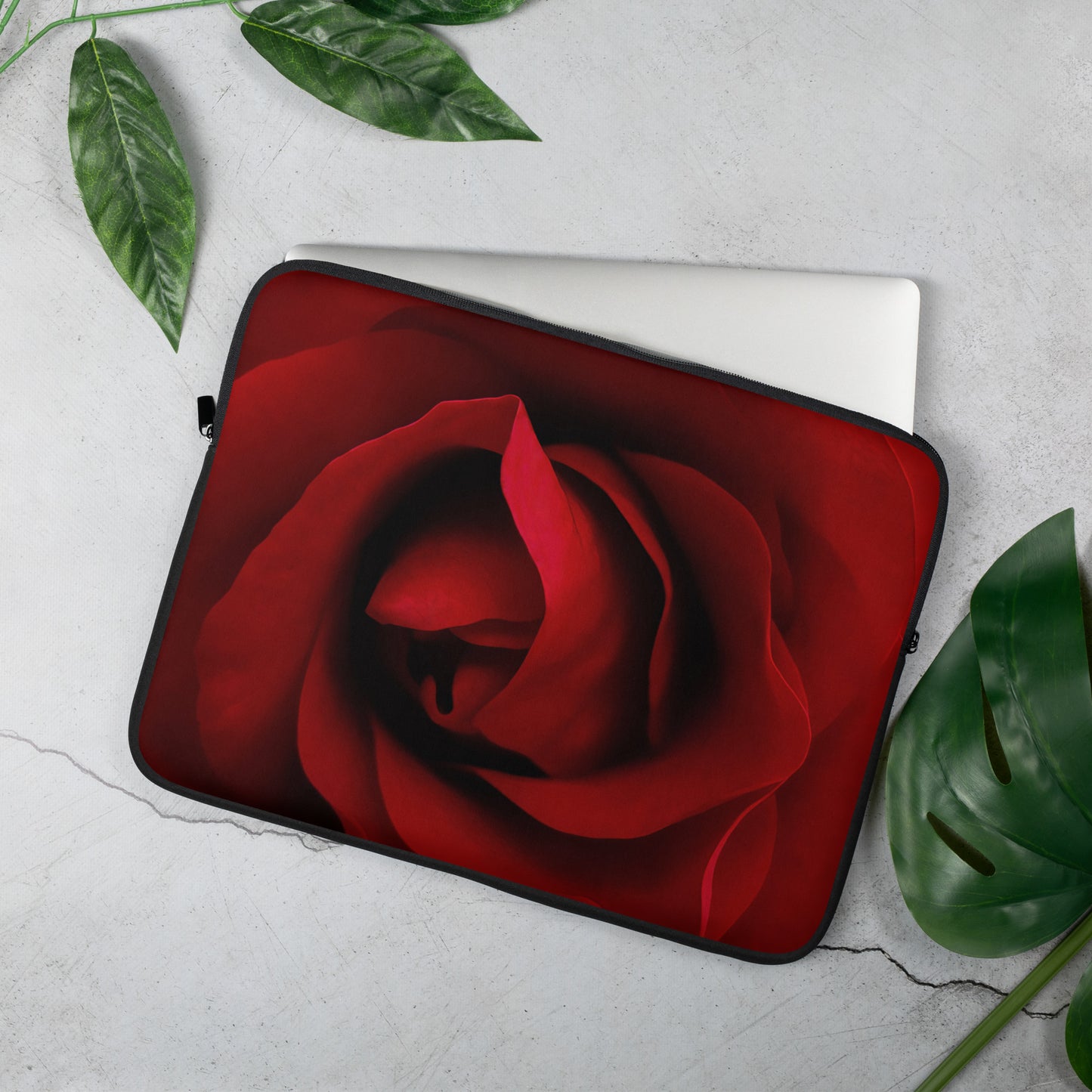 red rose, rose, red, flowers, flower, nature, beauty, love, valentine